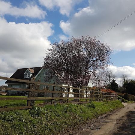 Spring Paddocks B&B Furneux Pelham Exterior photo