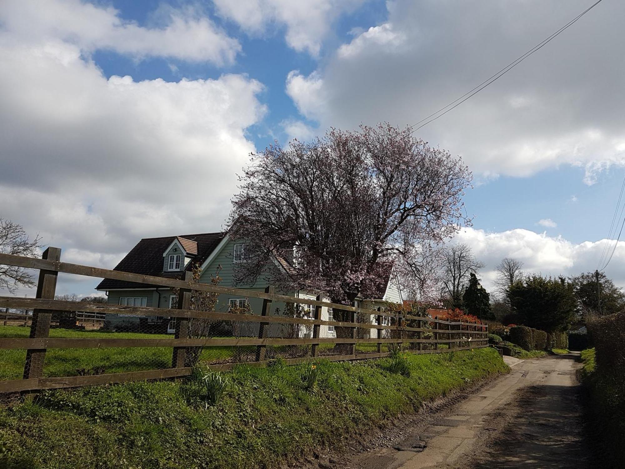 Spring Paddocks B&B Furneux Pelham Exterior photo